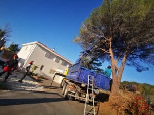 Élagage d'un grand pin avec une grue de camion (porteur de benne) près d'une maison blanche, deux arboristes en équipement de sécurité travaillent.