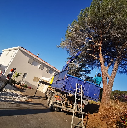 Élagage d'un grand pin par des élagueurs utilisant une grue auxiliaire montée sur camion-benne près d'une maison.