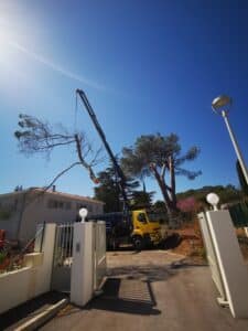 Camion-grue jaune élaguant un grand pin près d'une maison blanche sous un ciel bleu éclatant ; travaux d'arboriculture en cours.