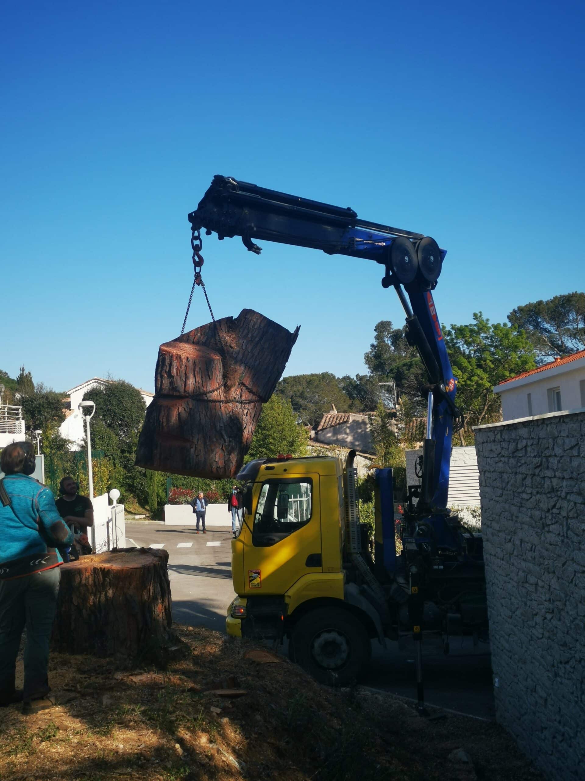 Grue hydraulique jaune soulevant une section massive de tronc d'arbre coupé, des élagueurs travaillent au sol.