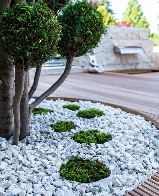 Jardin zen avec gravier blanc, topiaires boule, mousse verte en cercles, et terrasse bois près d'une fontaine murale.