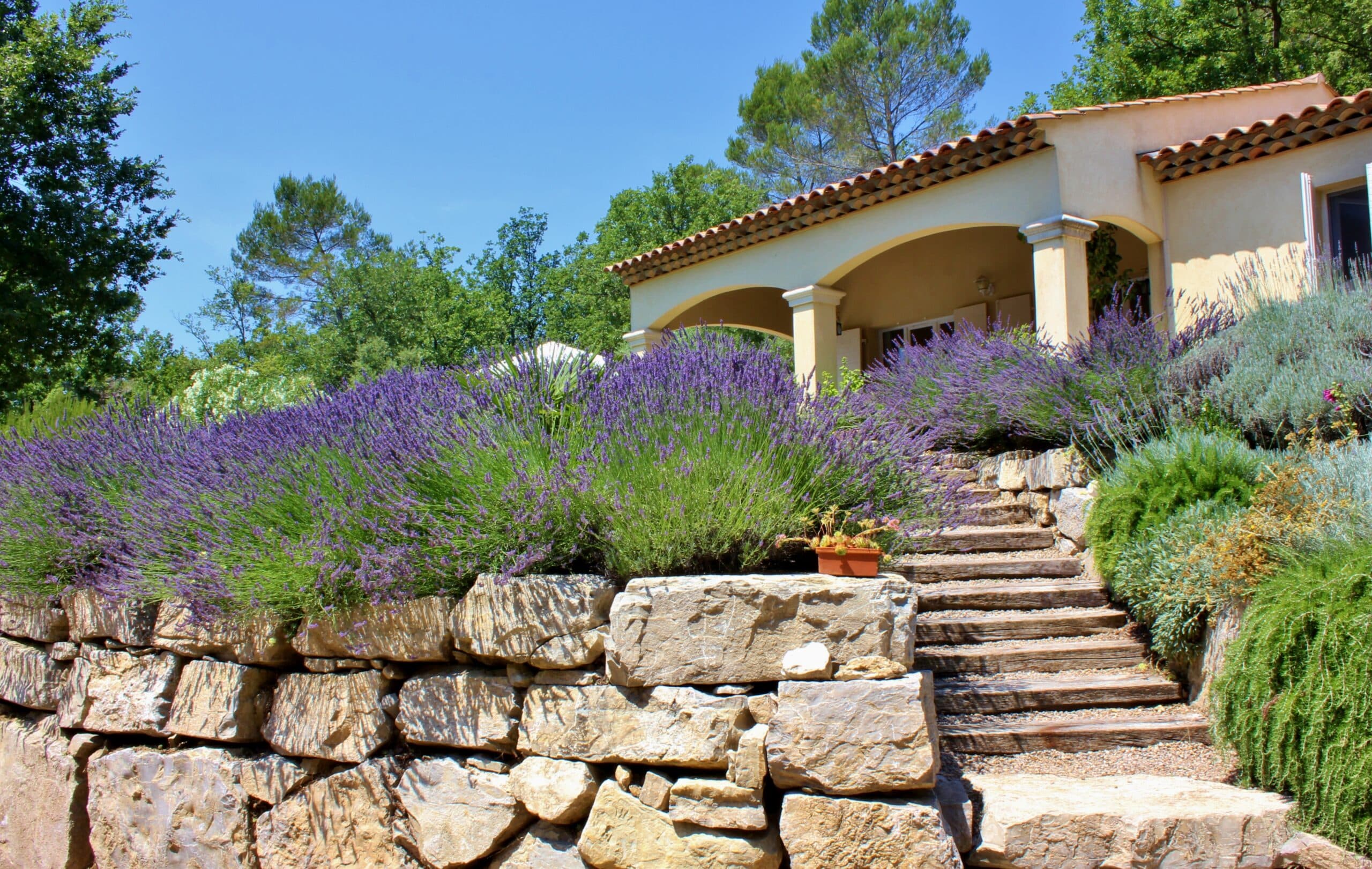 Maison provençale avec toit de tuiles rouges, soutenue par un mur de pierres sèches et des buissons de lavande violette en fleurs.